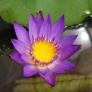 티나하우스 이미지