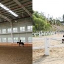 (주)골든쌔들 이미지