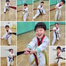 신화정 태권도 이미지