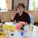 샬롬아울렛