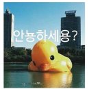 헤라코스메틱 이미지