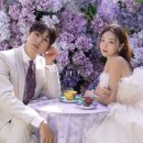 홍's살롱 | [W_12] 대구 워킹 웨딩 스튜디오 가성비 업체 비교 2탄 / 포에버마인 / 비니비치 / 미율그라피 / 안유앤...