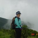 지경꽃화원