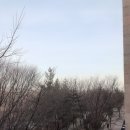 구미동해수욕장 네이버블로그