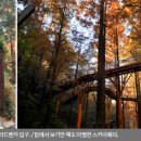 장태산자연휴양림 이미지