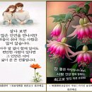 51. 後滄名詩후창명시(206~210)和汝安화여안 三首삼수,贈洪君錫模증홍군석모, 以承齋贈이승재증 別諸君별제군,重陽翌夜 이미지