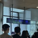 대선목장 | 쓰지만 출장일기 부산 1편 (마하사, 렌트카 후기, 모모스커피 본점, 이재모피자 웨이팅, 칠암사계)