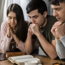 큰마음목장 이미지