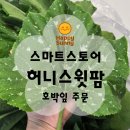 오감당남외점 | 🥬 인터넷으로 주문한 호박잎, 실물 만족도는? + 울산 오감당 빡장과함께