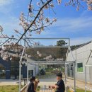 임실치즈두마리목장 이미지