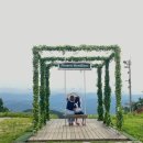 청림동물병원 | 강원도 평창 휘닉스 파크 온도 조식, 부대시설 맛집, 곤돌라 타고 휘닉스 몽블랑까지