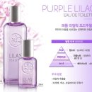 퍼플블룸 이미지