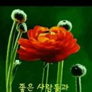 상쾌한아침