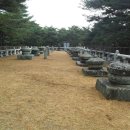 태실농장 이미지