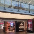 로렌이랑 도도네집 | [푸켓 카오락] 바니아 부띠크 하우스 하루 잠시 머물기 좋았던 카오락 숙소 &amp; 홍콩 항공 후기 HX741