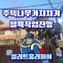 둥지부분정비 | 전깃줄에 닿은 나무, 부러진 가지까지 깔끔하게 정리 가지치기 벌목작업까지