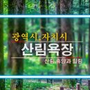 청룡동-38 이미지