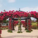 삼문동둔치주차장 네이버블로그