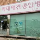 애견종합병원 이미지