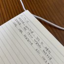 올스테이인 이미지