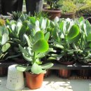 화월농장 이미지