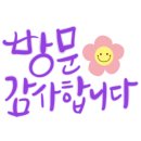 미스터홈즈부동산중개창원마산회원센터 이미지