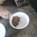 은행나무하우스낚시터 | 첫 경험 민물낚시 춘천 은행나무 실내 낚시터 잘 나오네요.