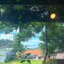 GR(무안군)-[현해로]-상-3 | 무안맛집 시인과바다, 뷰좋고 추억여행가능한 분위기 아는맛이 무섭다