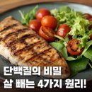 근의 공식 PT | 살 빼주는 4가지 원리! 💪 근손실 방지부터 대사량까지...타임 조합) | 상대동PT 상대동헬스장 피트니센스PT