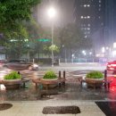 플랜미의원 이미지