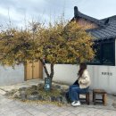 경주제일약국 | 엄마랑 1박2일 경주여행 안싸우기 성공 ^^