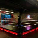 언더독 복싱 이미지