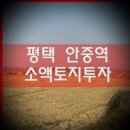 안중송담1번지공인중개사사무소 | 평택 안중역 평택안중역 역세권 답사와 공유지분.단필지 투자 고객후기.다윈부동산~부동산 불황에도 서...