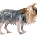 연수동물메디컬센터 이미지