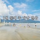 도야패밀리