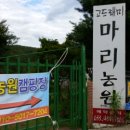 고드래미강변농원