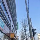 구지 라온스크린 골프존 달성군 스크린골프장 후기 투비젼
