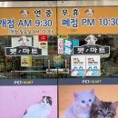 펫마트양천점