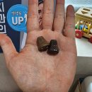 내추럴사운드 B 이미지