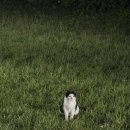 서종풀 펜션 이미지