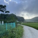 봉담파출소 | 발안천 오십 리 분향만 남양만 간척지