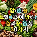 '암(癌)'을 소멸하고 예방하는 놀라운 음식 30가지 이미지