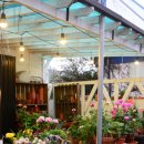 지아정원 이미지