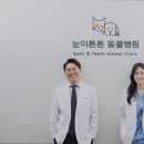 눈이튼튼 동물병원 네이버블로그
