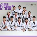 용인대새봄태권도 이미지