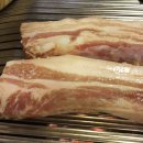 돌리고제주도야지 이미지