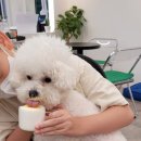 오미네커피 이미지