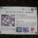 한택로 이미지