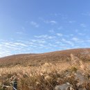 제주푸른호텔 | 가을 제주, 새별오름 억새, 외돌개, 서귀포 가성비 호텔 제주푸른호텔