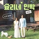 룡룡